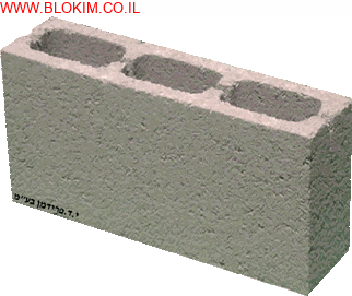 בלוק פומיס מחיצה